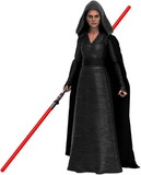 Hasbro HBR-F13075X00-C Star Wars Black Series 6 Inch Action Figure | Rey (Dark Side Vision)