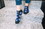 Hypnotic Socks HYP-TK626-C NASA Novelty Low-Cut Unisex Ankle Socks, 5 Pairs