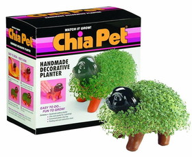 Joseph Enterprises Chia Pet Grass Planter: Puppy