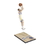 Mcfarlane Toys Golden State Warriors NBA Series 27 Action Figure: Klay Thompson