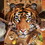 Madd Capp Games MCG-3005-TIGER-C I AM Tiger 550 Piece Animal Head-Shaped Jigsaw Puzzle