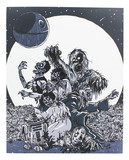 Star Wars Zombies 8x10 Art Print by Fredrik Eden (Nerd Block Exclusive)
