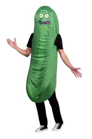 Palamon Rick and Morty Foam Pickle Rick Adult Costume - One Size