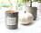 Robe Factory RBF-17645-C Disney The Nightmare Before Christmas Sally's Jar Ceramic Candle | Frog's Breath