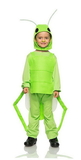 Seeing Red Flying Grasshopper Child Costume