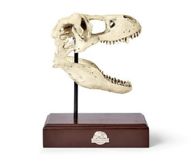 Surreal Entertainment SRE-PW-JP-TRXSKL-C Jurassic World 9x8 Inch Tyrannosaurus Rex Skull Resin Replica