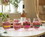 Silver Buffalo SVB-GOL5026M-C The Golden Girls Stemless Wine Glass Collectible Set of 4, Each Holds 20 Ounces