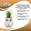 Silver Buffalo SVB-HP2343EH-C Harry Potter Hedwig 3-Inch Ceramic Mini Planter with Artificial Succulent