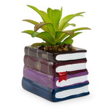 Silver Buffalo SVB-HP2428EH-C Harry Potter Book Stack 3-Inch Ceramic Planter With Artificial Succulent
