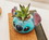 Silver Buffalo SVB-LI1541EH-C Disney Lilo & Stitch 3-Inch Ceramic Mini Planter with Artificial Succulent