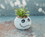 Silver Buffalo SVB-NB1546EH-C Disney The Nightmare Before Christmas Jack Skellington Ceramic Mini Planter