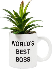 Silver Buffalo SVB-OFC404EH-C The Office Worlds Best Boss Mini Ceramic Planter with Artificial Plant
