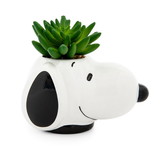 Silver Buffalo SVB-PEA537EH-C Peanuts Snoopy Face Ceramic Mini Planter with Artificial Succulent | 3.5