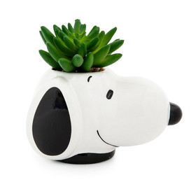 Silver Buffalo SVB-PEA537EH-C Peanuts Snoopy Face Ceramic Mini Planter with Artificial Succulent | 3.5"L x 5" H x 5" W