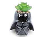 Silver Buffalo SVB-SW1423EH-C Star Wars Darth Vader 3-Inch Ceramic Mini Planter with Artificial Succulent