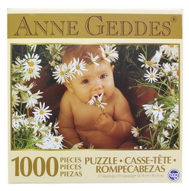 The Canadian Group TGC-70409DSY-C Anne Gedes Daisies 1000 Piece Jigsaw Puzzle