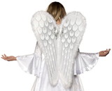 Underwraps UDW-30473-C Adult Costume Wings with Glitter & Feather Trim