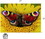 UT Brands UTB-UTU-3-GI-0257-C Johannes Stotter Butterfly Body Art 1000 Piece Jigsaw Puzzle