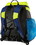 TYR LATBP30 Alliance 30L Backpack