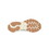 New Balance M1440V1 Fresh Foam X 1440 Mens' Shoes
