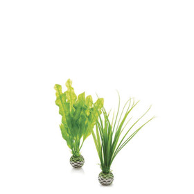 Oase biOrb Easy Plant Set 2 Small Green - 46055
