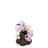 Oase biOrb Barnacle Ornament Small Pink - 46145