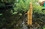 78307 - Aquascape Pouring Three-Tier Bamboo Fountain (MPN 78307)