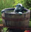 78315 - Aquascape Man in Barrel Fountain (MPN 78315)
