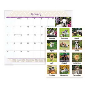 AT-A-GLANCE AAGDMD16632 Puppies Monthly Desk Pad Calendar, Puppies Photography, 22 x 17, White Sheets, Clear Corners, 12-Month (Jan to Dec): 2025
