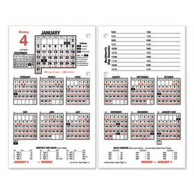 AT-A-GLANCE AAGE71250 Burkhart's Day Counter Desk Calendar Refill, 4.5 x 7.38, White Sheets, 12-Month (Jan to Dec): 2025