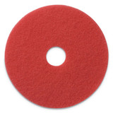 Americo AMF404414 Buffing Pads, 14