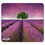 allsop 31422 Naturesmart Mouse Pad, Lavender Field Design, 8 1/2 x 8 x 1/10, Price/EA