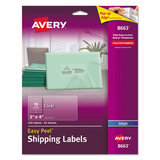 Avery AVE8663 Matte Clear Easy Peel Mailing Labels w/ Sure Feed Technology, Inkjet Printers, 2 x 4, Clear, 10/Sheet, 25 Sheets/Pack