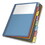 CARDINAL BRANDS INC. CRD84017 Poly 1-Pocket Index Dividers, Letter, Multicolor, 8-Tabs/set, 4 Sets/pack, Price/PK