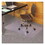 ES Robbins ESR121821 Everlife Chair Mats For Medium Pile Carpet, Rectangular, 36 X 48, Clear, Price/EA