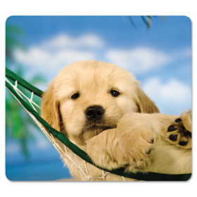 Fellowes FEL5913901 Recycled Mouse Pad, Nonskid Base, 7 1/2 X 9, Puppy In Hammock