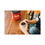 Folgers FOL20421CT Coffee, Classic Roast, Ground, 25.9 oz Canister, 6/Carton, Price/CT