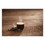 Nescafe NES24631CT Espresso Whole Bean Coffee, Arabica, 2.2 lb Bag, 6/Carton, Price/CT