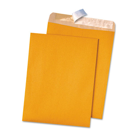 Quality Park QUA44511 Recycled Brown Kraft Redi-Strip Envelope, #10 1/2, Cheese Blade Flap, Redi-Strip Closure, 9 x 12, Brown Kraft, 100/Box