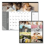Blueline REDC194115 Pets Collection Monthly Desk Pad, Furry Kittens Photography, 22 x 17, White Sheets, Black Binding, 12-Month (Jan-Dec): 2023