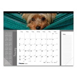 Blueline REDC194116 Pets Collection Monthly Desk Pad, 22 x 17, Puppies, 2022