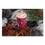 Dart SCC316SI Paper Hot Drink Cups in Bistro Design, 16 oz, Maroon, 1,000/Carton, Price/CT