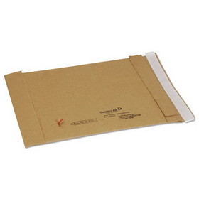 Sealed Air SEL66996 Jiffy Padded Mailer, #0, Paper Padding, Self-Adhesive Closure, 6 x 10, Natural Kraft, 250/Carton