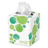 Seventh Generation SEV13719EA 100% Recycled Facial Tissue, 2-Ply, 85/box