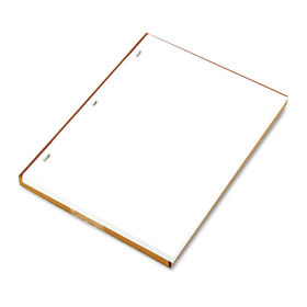 ACCO BRANDS WLJ90310 Ledger Sheets for Corporation and Minute Book, 11 x 8.5, White, Loose Sheet, 100/Box