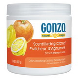 Natural Magic 4041EA Odor Absorbing Gel, Scentillating Citrus, 14 oz Jar