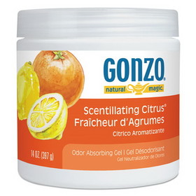 Natural Magic 4041EA Odor Absorbing Gel, Scentillating Citrus, 14 oz Jar