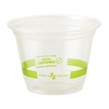 World Centric WORCPCS9Q PLA Clear Cold Cups, 9 oz, Clear, 1,000/Carton