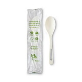 World Centric WORSPPSI TPLA Compostable Cutlery, Spoon, 6