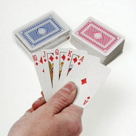 U.S. Toy 7333 Mini Playing Cards in Plastic Case